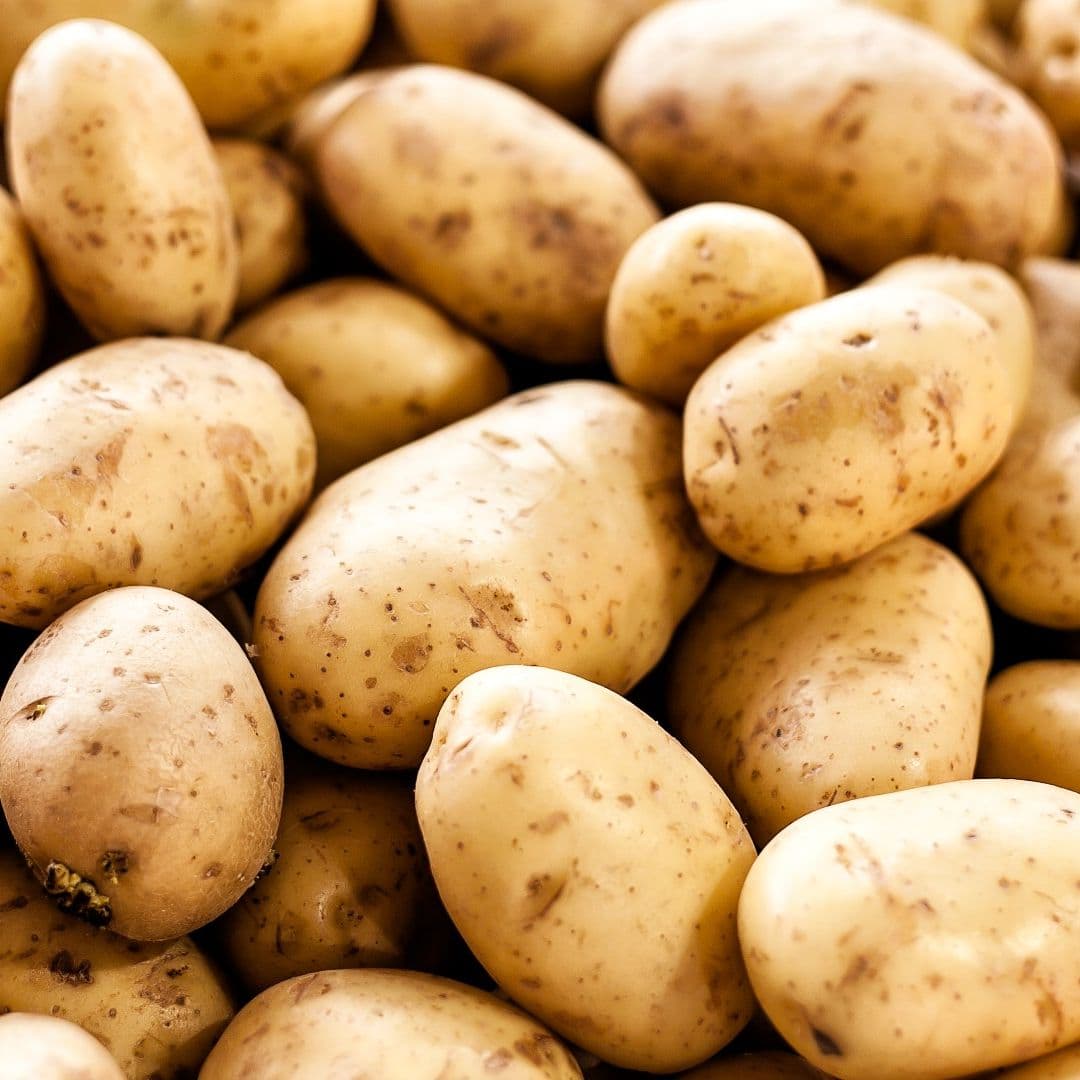 Farm Fresh Potatoes